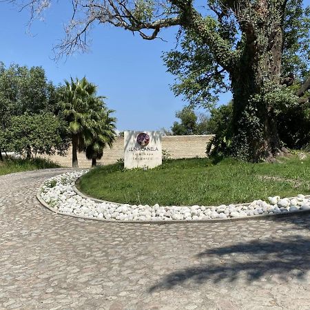 Hotel & Spa Luna Canela Boutique Atlixco Zewnętrze zdjęcie